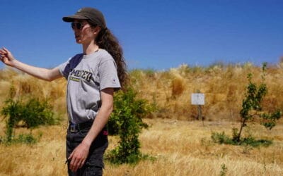 ‘Farming Data’: UC Merced Students Spend Summer Working with Crops