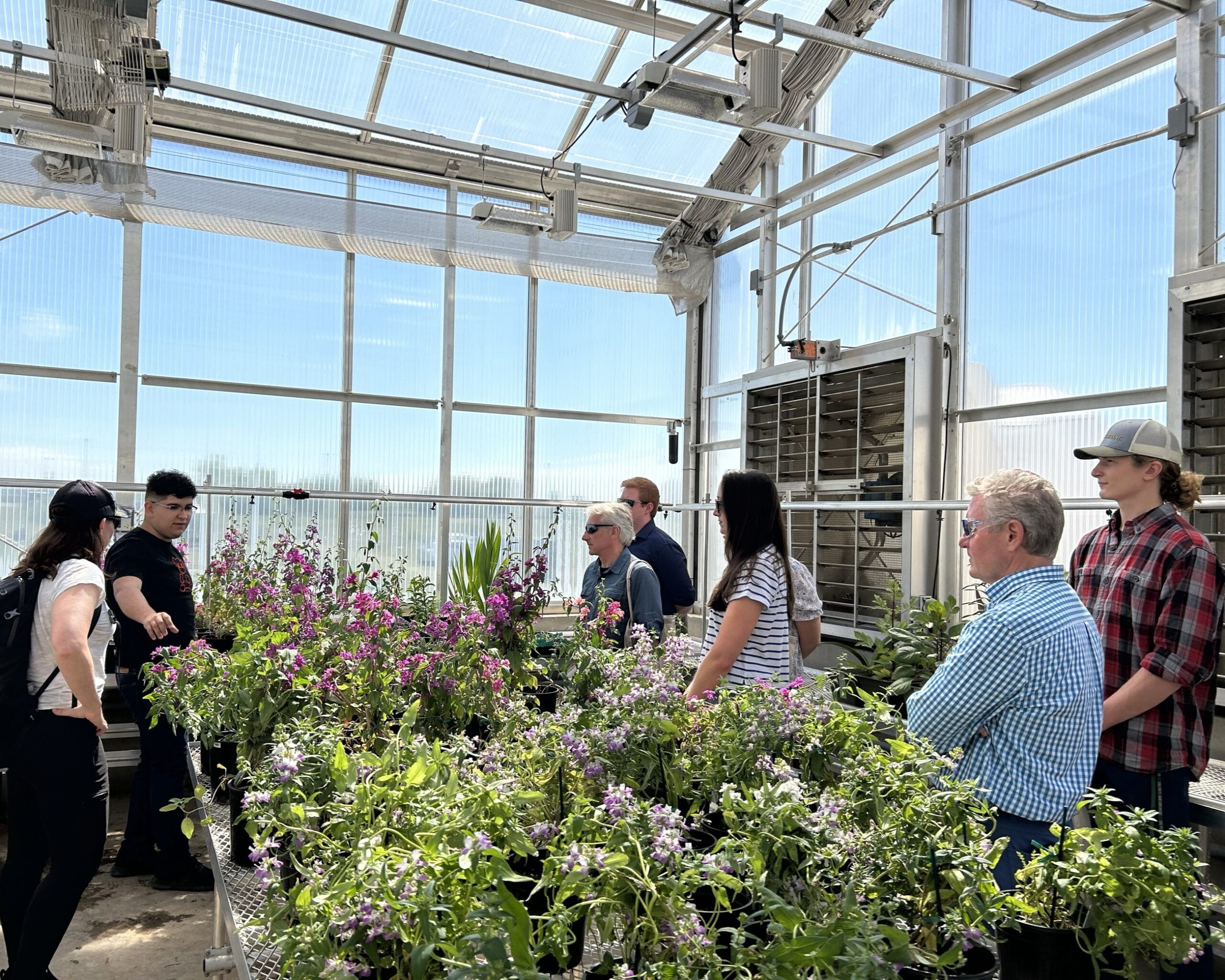 Inside the ESF greenhouse