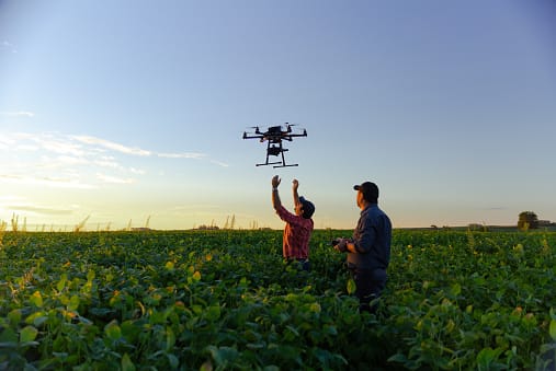 Two farmers in a field of crops using a drone to help them.