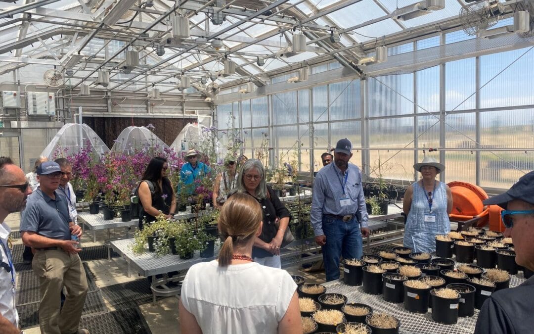 UC ANR Visits UC Merced to Spotlight Innovative Agricultural Research