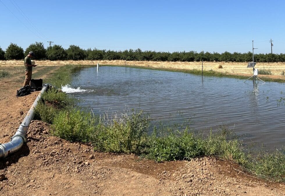 Idea for Powering UC Merced Smart Farm a Winner in Solar Energy Contest